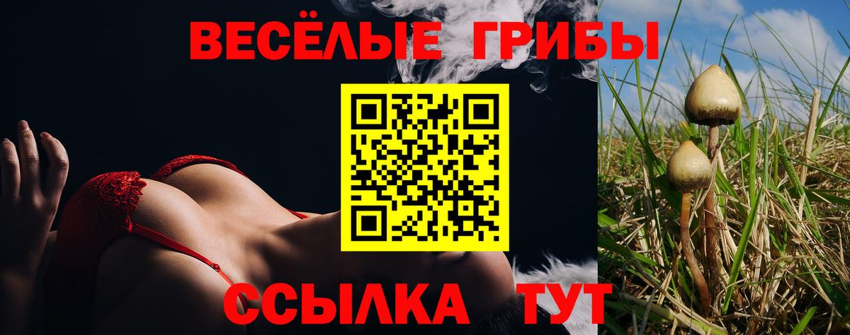 Саратов  Псилоцибиновые грибы мухоморы  Галлюциногенные грибы Psilocybe  Вход с VPN 