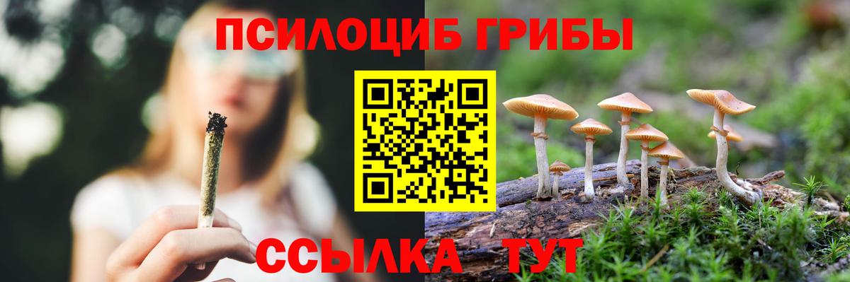 Галлюциногенные грибы прущие грибы Саратов